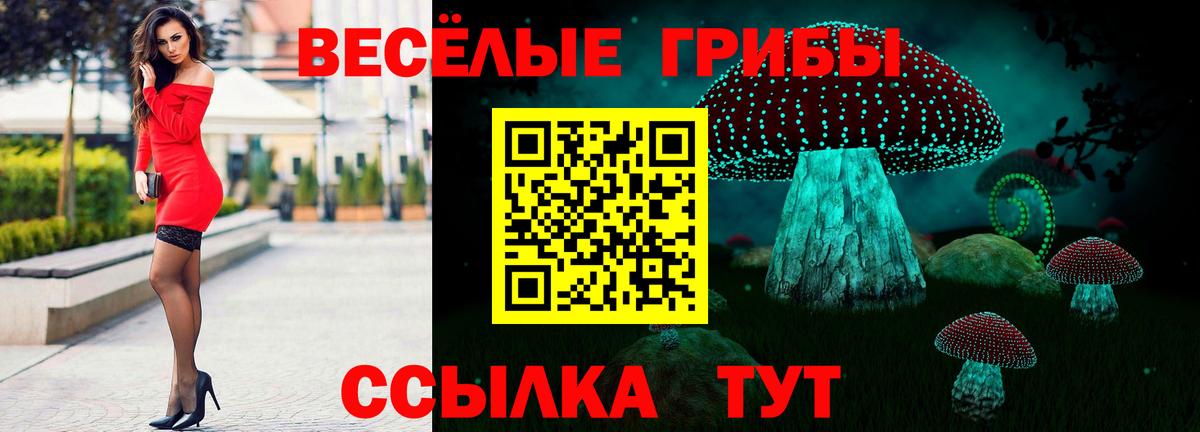 Гашиш  ТГК  Марихуана  Меф МЯУ МЯУ   Сколько стоит  Дагестанские Огни  Вход с VPN 